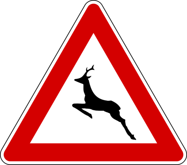 Segnale animali selvatici